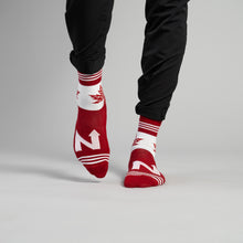 Load image into Gallery viewer, MEN'S SILVER CREW SOCKS | THE NORTH
