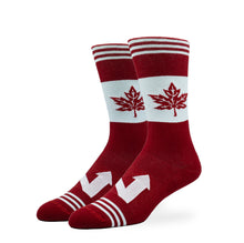 Load image into Gallery viewer, WOMEN'S SILVER CREW SOCKS | THE NORTH
